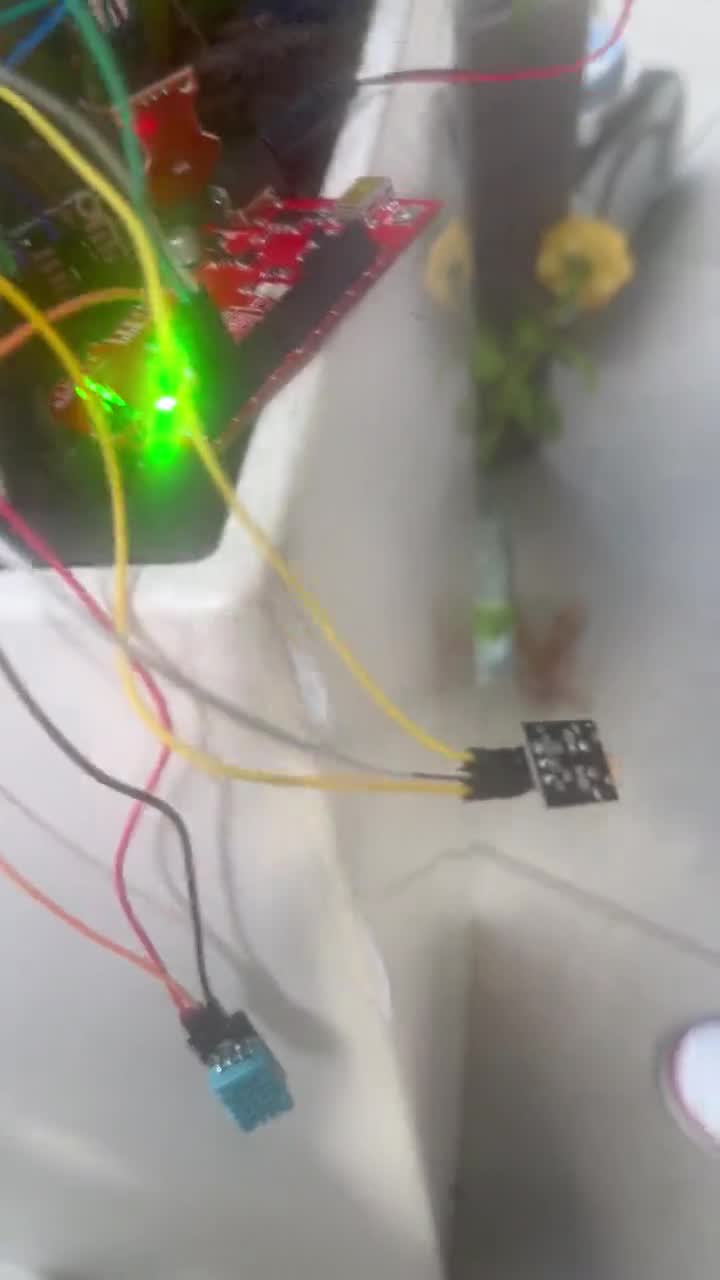 Wiring the display module